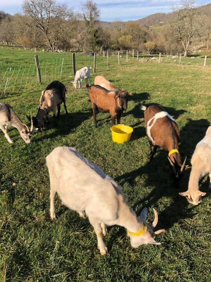 Gite A La Ferme Montesquieu-Avantes Eksteriør bilde